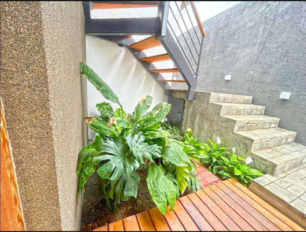 Imagen 11