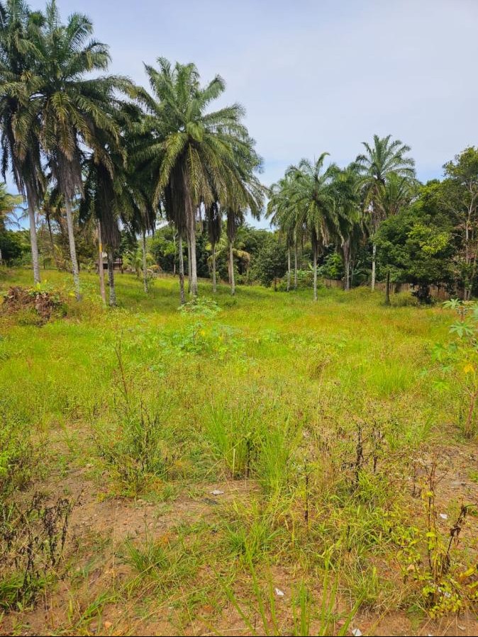 Terreno amplo com 6.000 m² em Trancoso, ideal para projeto de alto padrão ou investimento in Porto Seguro/BA